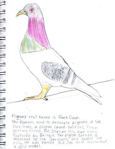Pigeon by JD Boy (age 6)