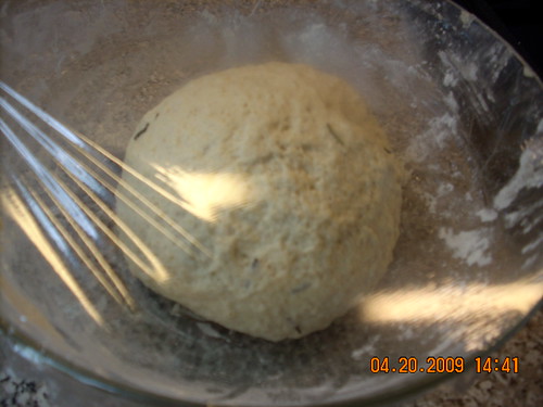 pizza dough ball