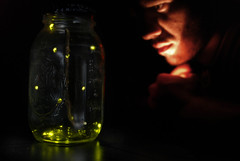 255/365 - capturing light in jar.