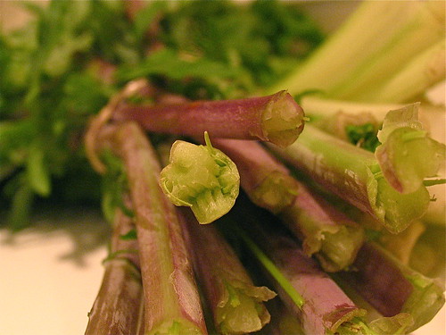 red-stemmed kale