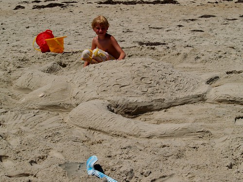 J with Sand Turtle