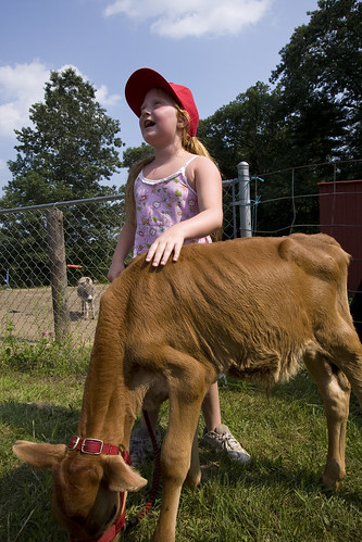 Girl and calf