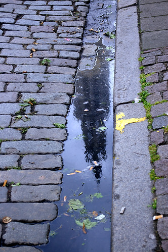 In the gutter, Antwerp, Belgium