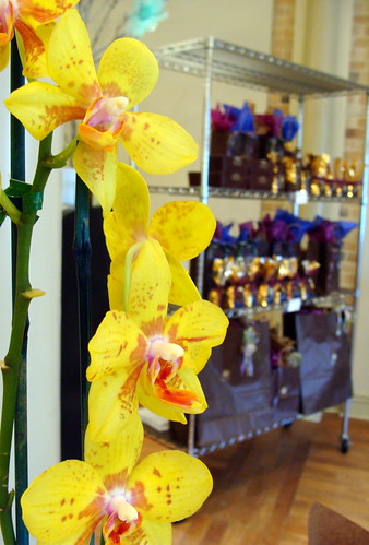 Steven Howard's Famous Orchids