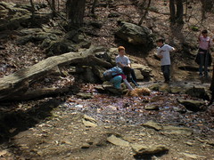 6 - Sophie Petting a Dog in Creek