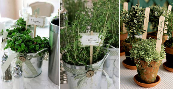 Eco wedding reception favors: potted herbs! great place cards too. 