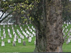 American Civil War Graves