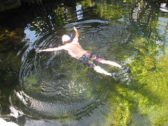 snorkelling in our pond
