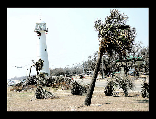 Hurricane Katrina Aftermath: Mississippi Gulf Coast Curiously Mangled Lighthouse and Palm Tree