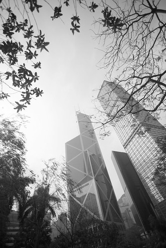 the skyscrapers as viewed from Chater Park
