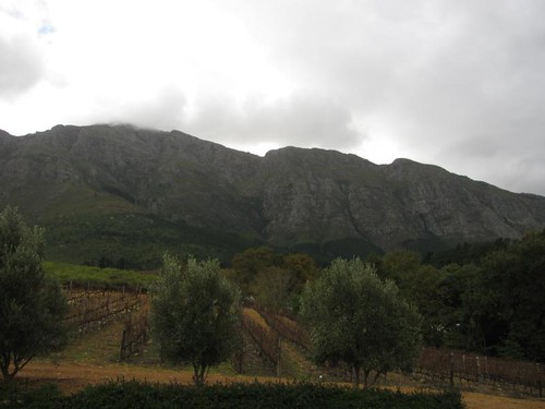 the winelands
