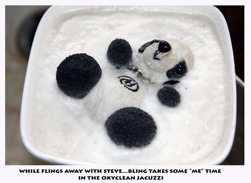 Steves trip to Beijing last week ..he took my stuffed panda Fling Fling along for the ride