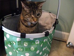 Maggie wishing all  her friends a Happy St. Patrick's Day