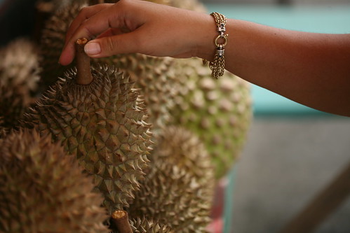 selecting the durian