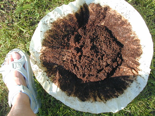 Huge Coffee Filter and My Left Foot
