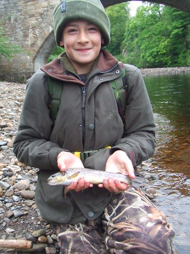 A wild Brown Trout