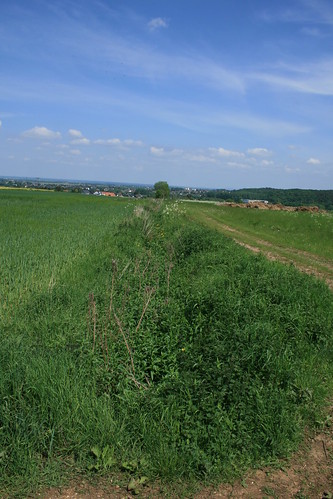 Grabensystem Kreuzweingarten