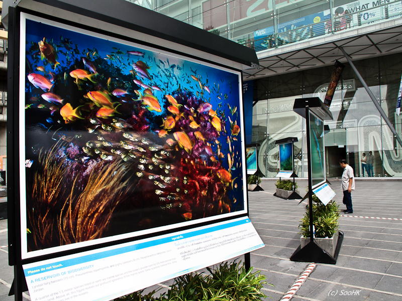 Planet Ocean Exhibition @ Central World, Bangkok, Thailand