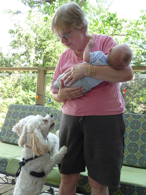 Gramma Terry and the Dogs