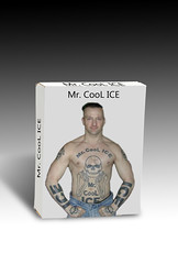 mr cool ice 