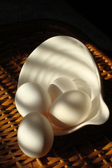 Eggs in Sunlight by veronica_geminder
