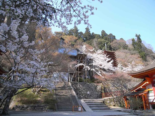 09-04-10【桜】＠談山神社-08