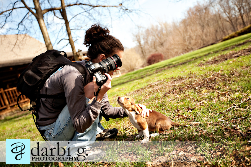 Darbi G photography-dog puppy photographer-_MG_9798-Edit