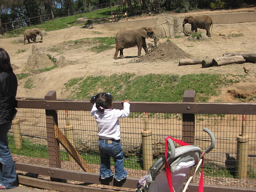 04-25-09 - Oakland Zoo