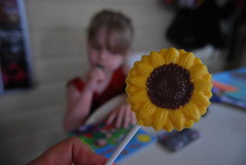 Sunflower chocolate lolly