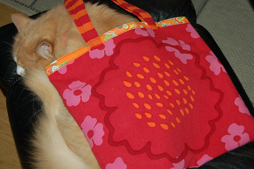 Smillis under a new tote (copyright Hanna Andersson)