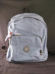 Kipling Basic | Ridge Backpack