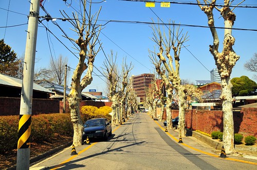 Officials' Village, Daejeon