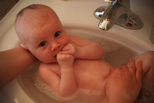 Zoey bath in sink - Apr09