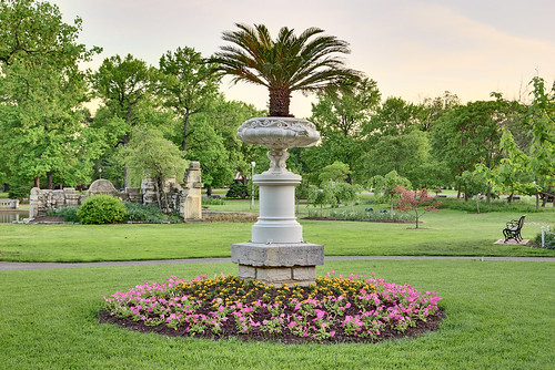 Tower Grove Park, in Saint Louis, Missouri, USA - palm in planter