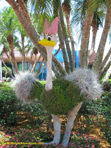 IMG_0968-WDW-EPCOT-topiary-ostrich-Fantasia