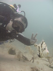 Jimmy Goh and Seagrass filefish