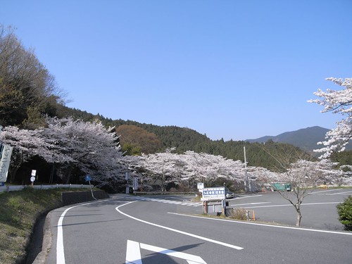 09-04-10【桜】＠談山神社-04