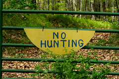 No Hunting Sign 5-9-09 4