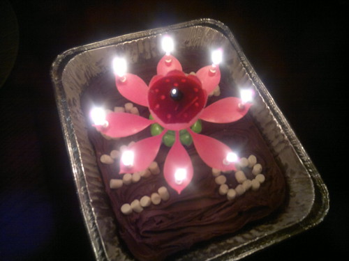 Flowering candle..happy bday! by ngoldapple