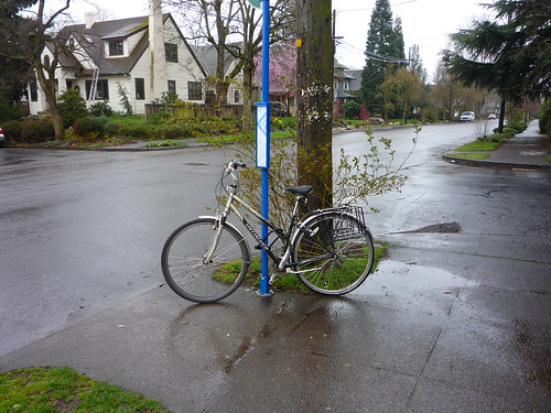 rain bicycle (bus stop)