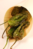 Fried Padrón Peppers© by Haalo