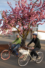 Legislator bike ride at the Oregon Bike Summit-24