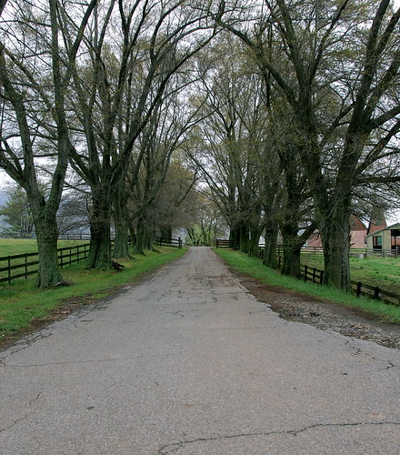 2009Apr - Amherst Driveway