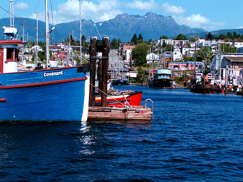 port alberni fishboat harbour