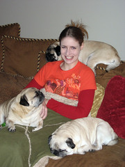 tammy is queen of the pugs
