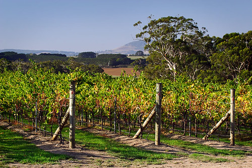 Hesket, Victoria, Australia, winery IMG_3243_Hesket
