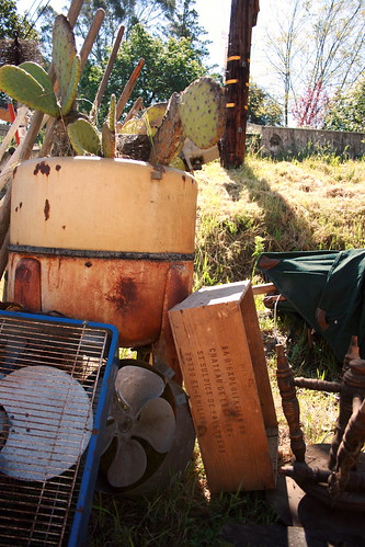 Vintage Washing Machine with Prickly Pears