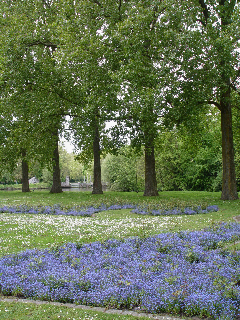 Park Outside of Bruges