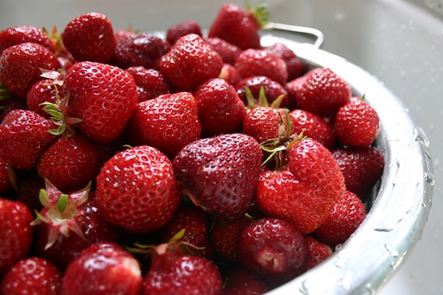 rinsing oregon strawberries