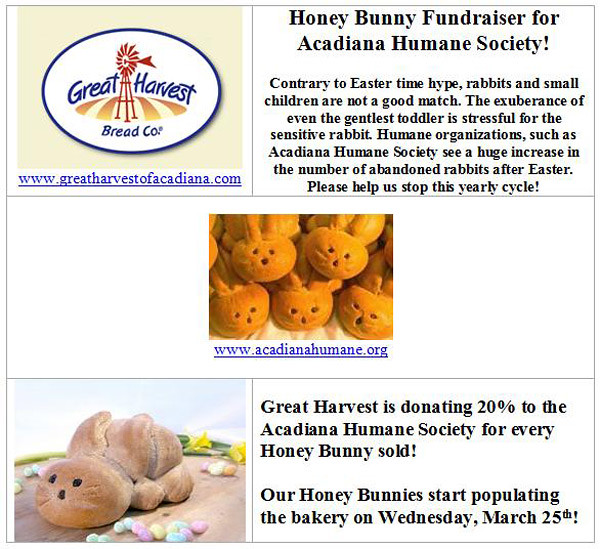 Honey Bunny Fundraiser by MyCatRanch